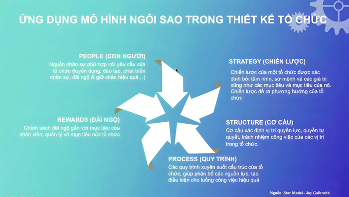 Mo-hinh-kim-cuong-trong-thiet-ke-to-chuc 
